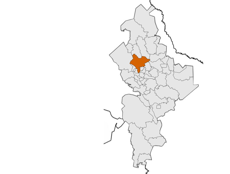 salinas victoria
